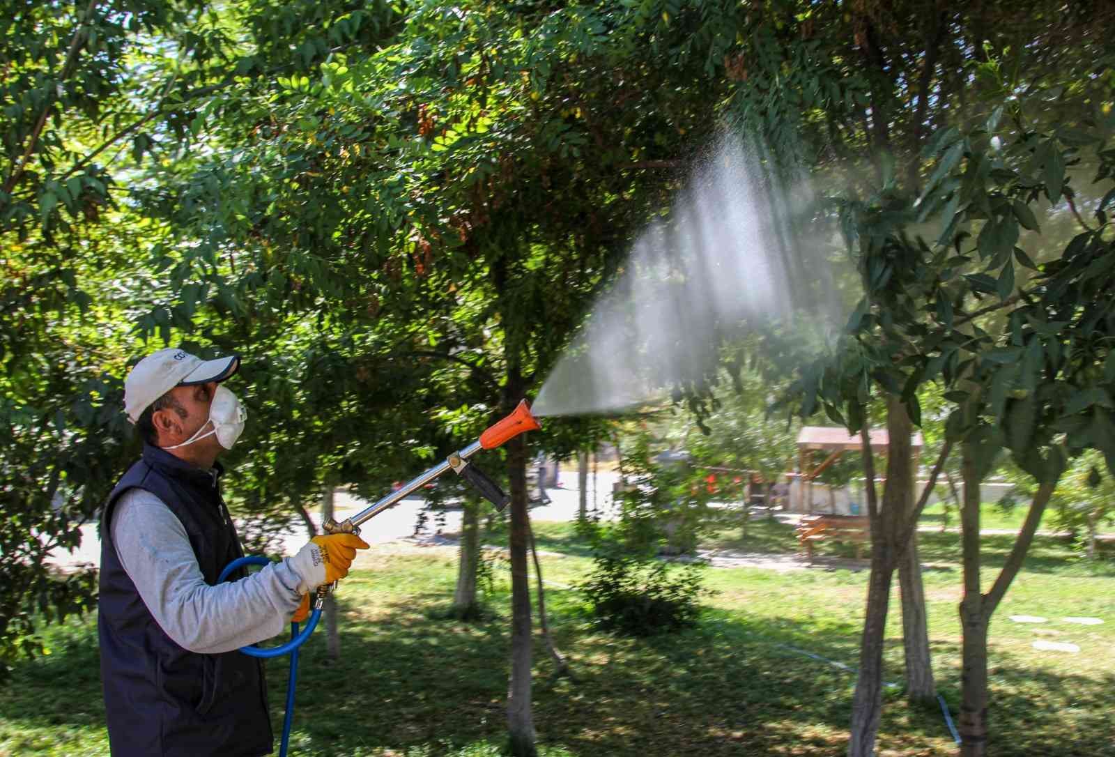 bayram öncesi park, bahçe ve mesire alanları ilaçlama çalışmaları