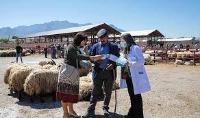 Van Büyükşehir Belediyesi hayvan pazarında bilgilendirme yaptı