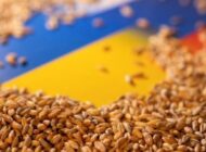 Ukrayna’dan tahıl sevkiyatı bugün başladı