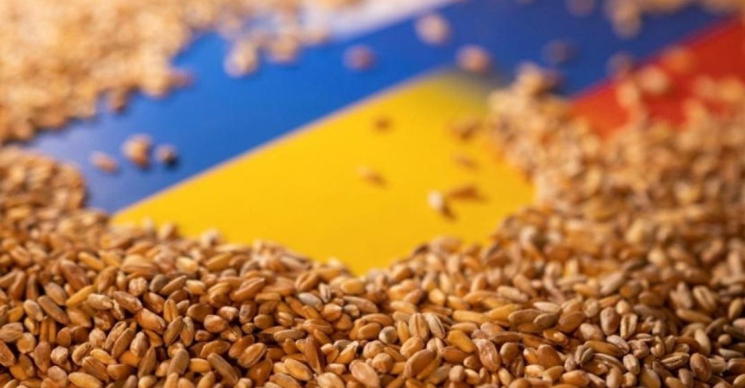 Ukrayna’dan tahıl sevkiyatı bugün başladı