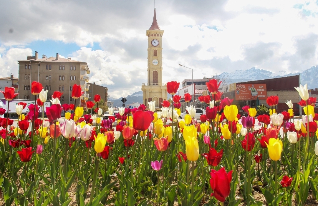 LALELER, PARK VE BAHÇELERİ RENKLENDİRDİ