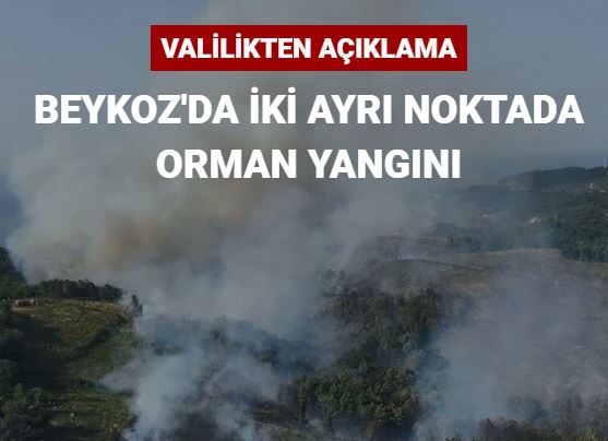 İstanbul Beykoz’da iki ayrı noktada orman yangını