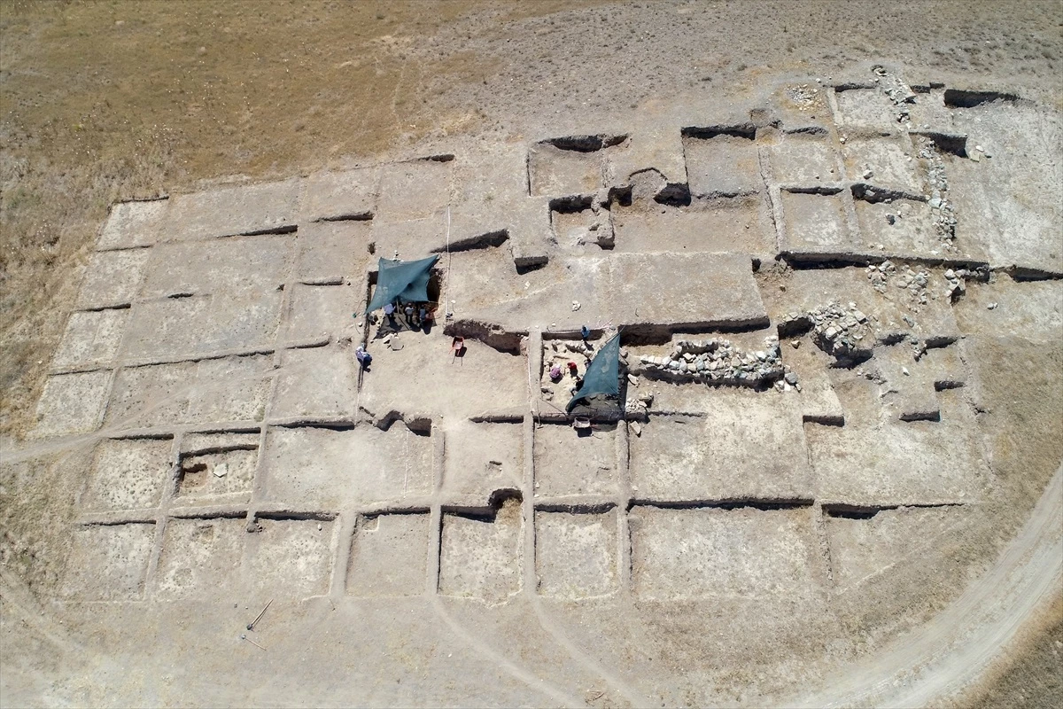 Van’da Urartular Dönemine Ait At İskeleti Bulundu