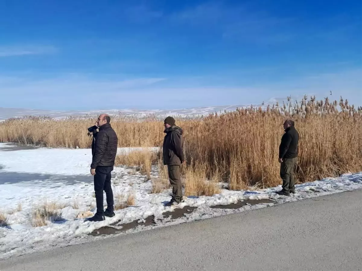 Van’da Yasadışı Avcılara Ceza