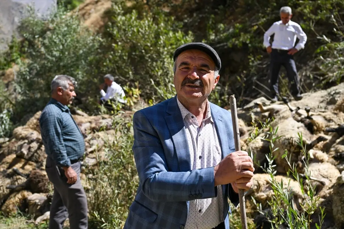 Van’da 334 Küçükbaş Hayvan Telef Oldu