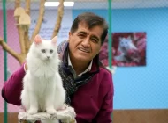 Sanatçı Aydın Aydın, Nesli Tükenmekte Olan Van Kedisiyle Düet Yaptı