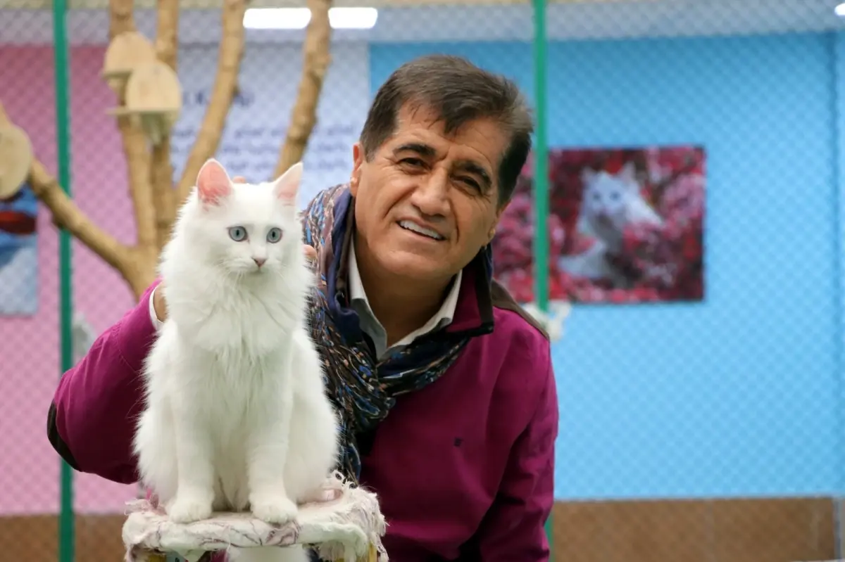 Sanatçı Aydın Aydın, Nesli Tükenmekte Olan Van Kedisiyle Düet Yaptı
