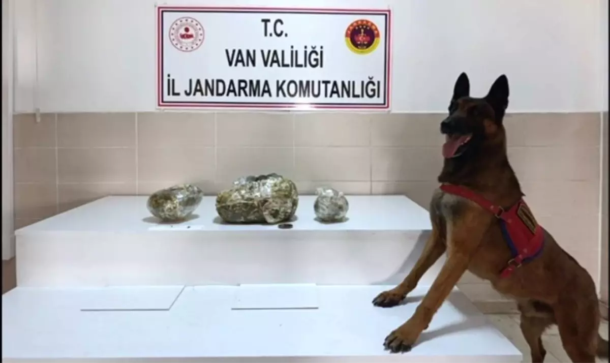 Van’da Uyuşturucu Operasyonu: 224 Kilo Ele Geçirildi