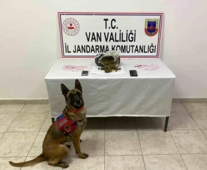 Van’da 1 Kilo Skunk Ele Geçirildi