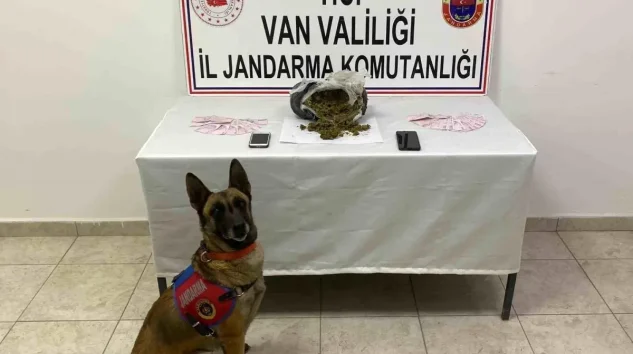 Van’da 1 Kilo Skunk Ele Geçirildi