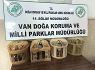 Van Gevaş’ta Kafes Avcılığı Yapan Şahsa Rekor Ceza!