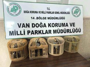 Van Gevaş’ta Kafes Avcılığı Yapan Şahsa Rekor Ceza!