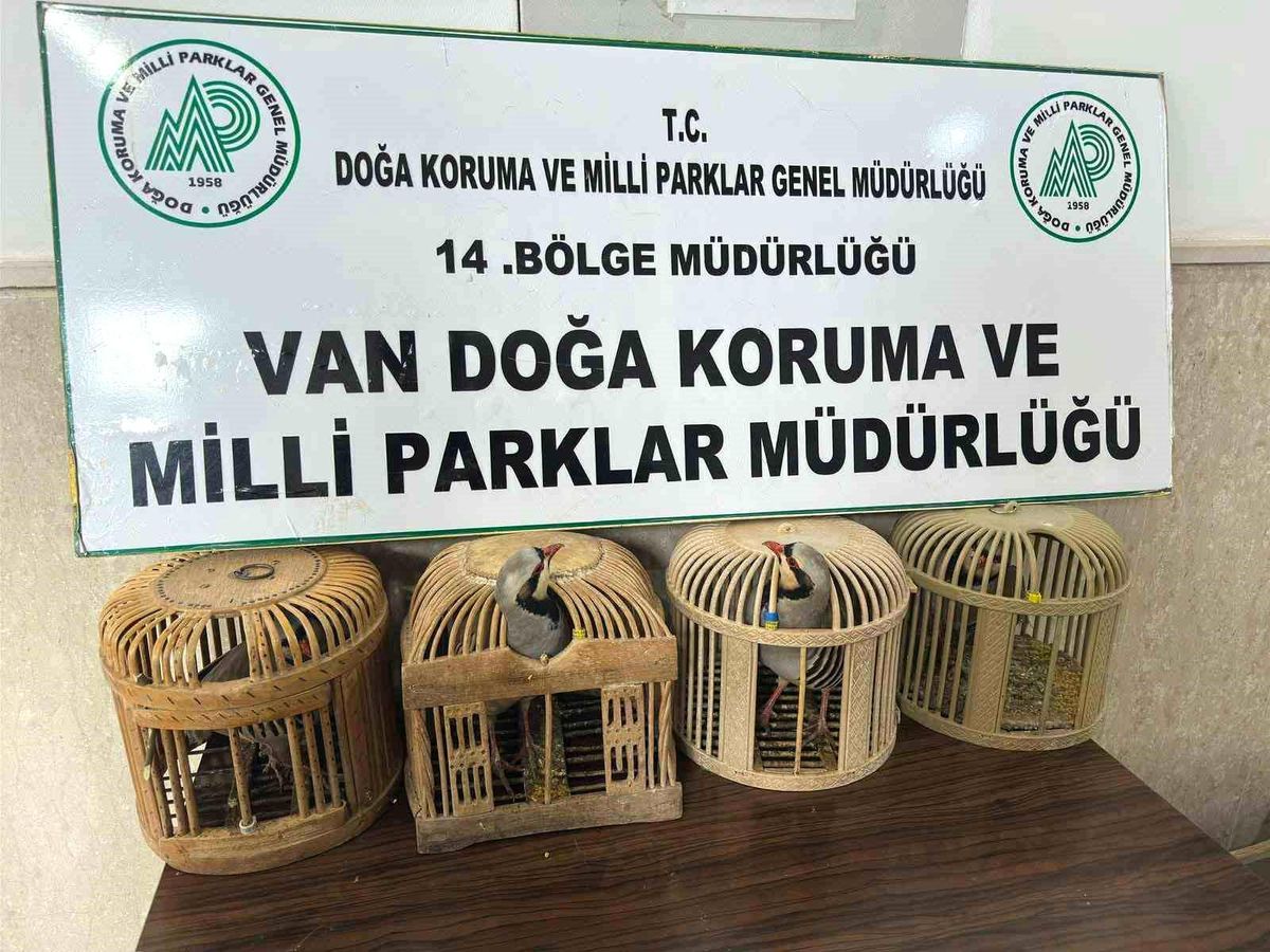 Van Gevaş’ta Kafes Avcılığı Yapan Şahsa Rekor Ceza!