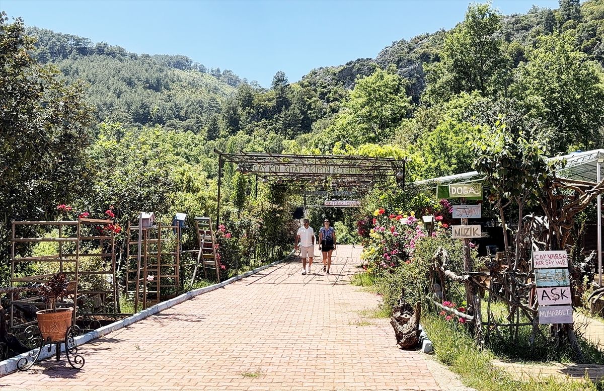 Van Kedileriyle Çevrili, Sanatla Dokunmuş Bir Hayat: Kerim Binici